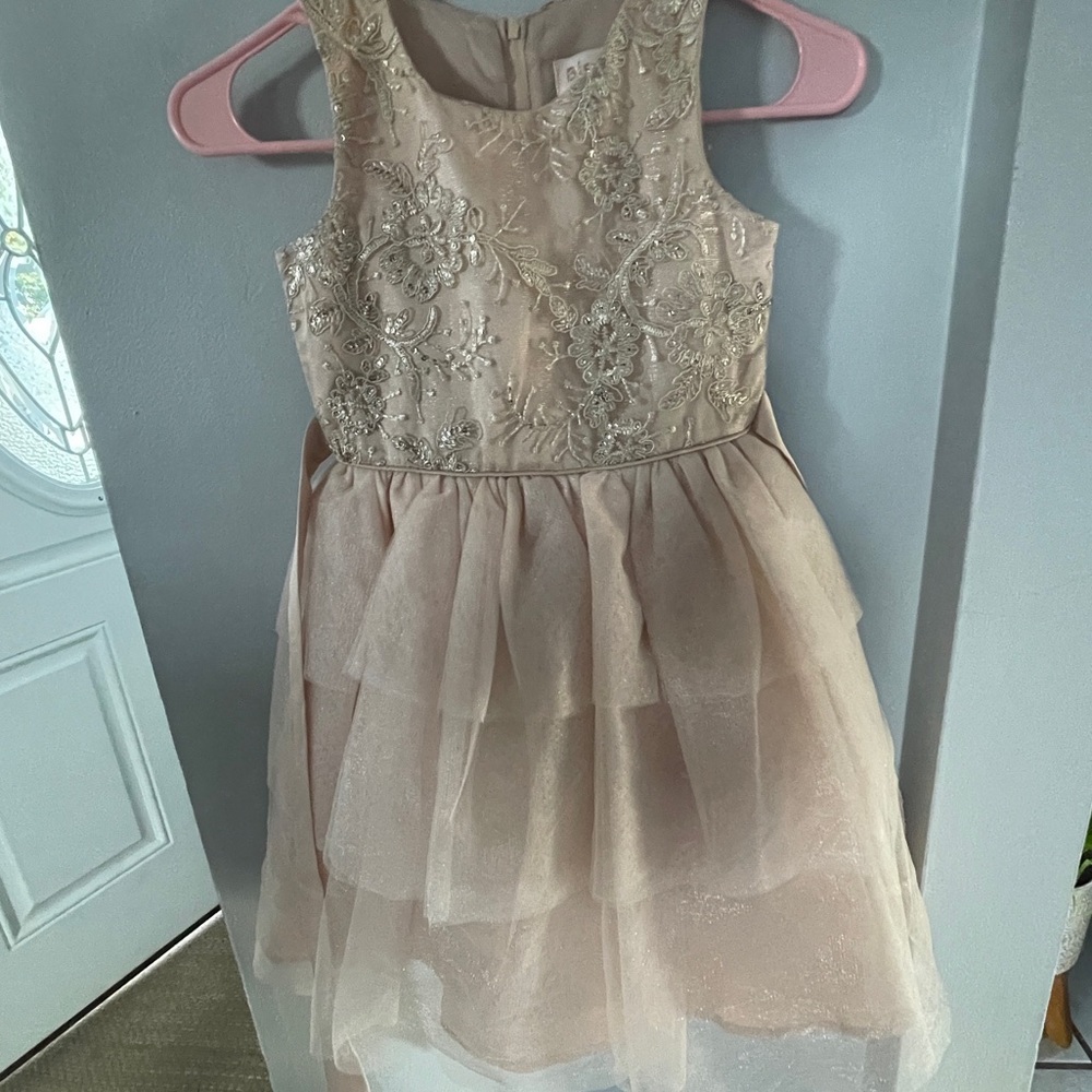 Biscotti Collezioni Blush Pink Dress